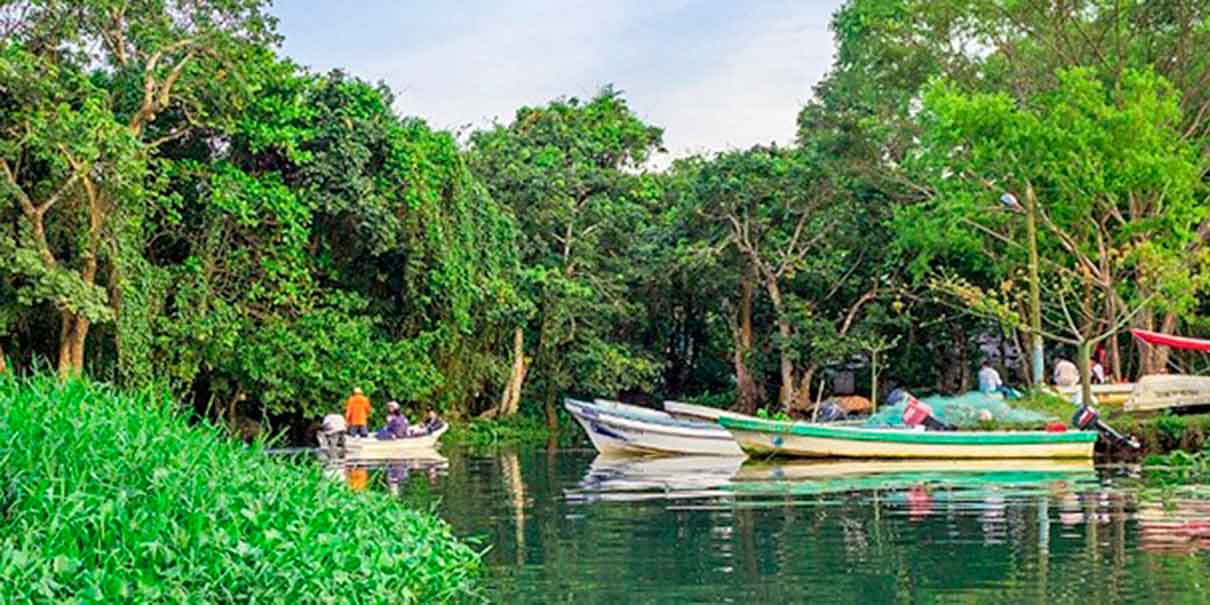 Sontecomapan