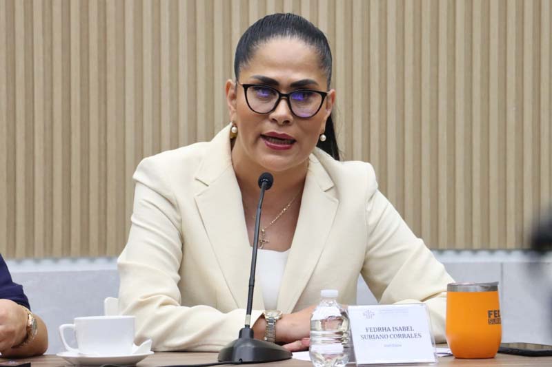 Regidores de Acatlán necesitan probar anomalías, advirtió Movimiento Ciudadano