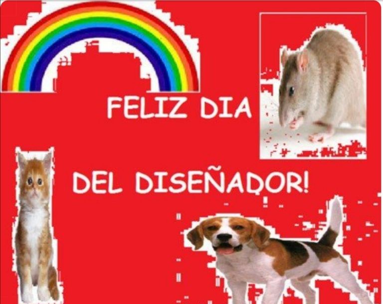 meme