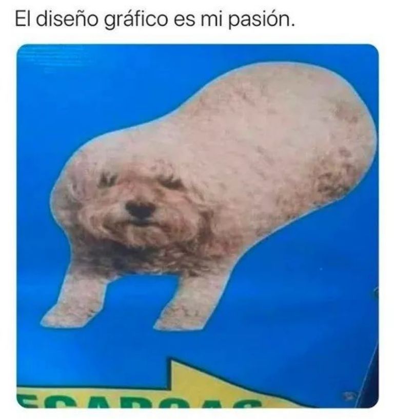 meme