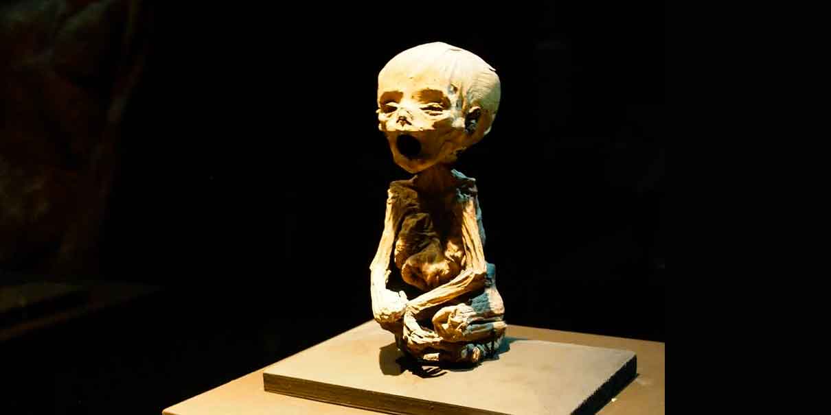Museo de las Momias de Guanajuato
