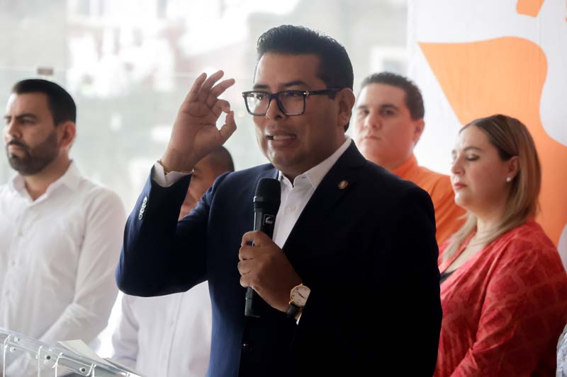 Néstor Camarillo Medina.