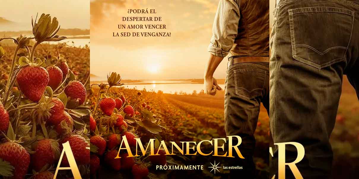 Novela