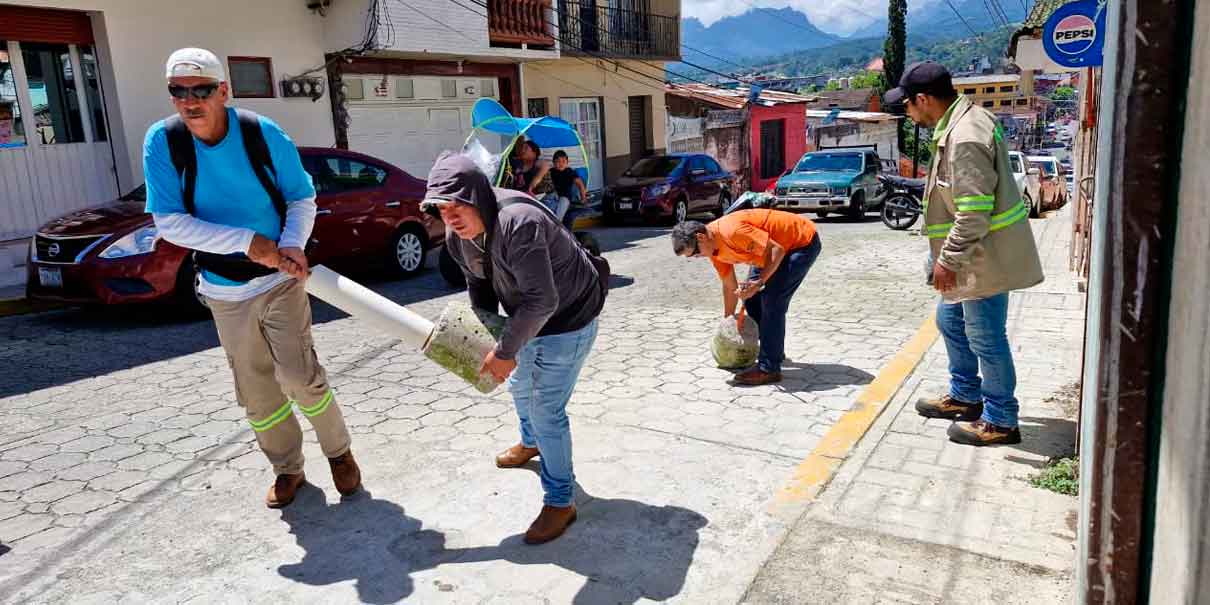 Operativo Movilidad Segura