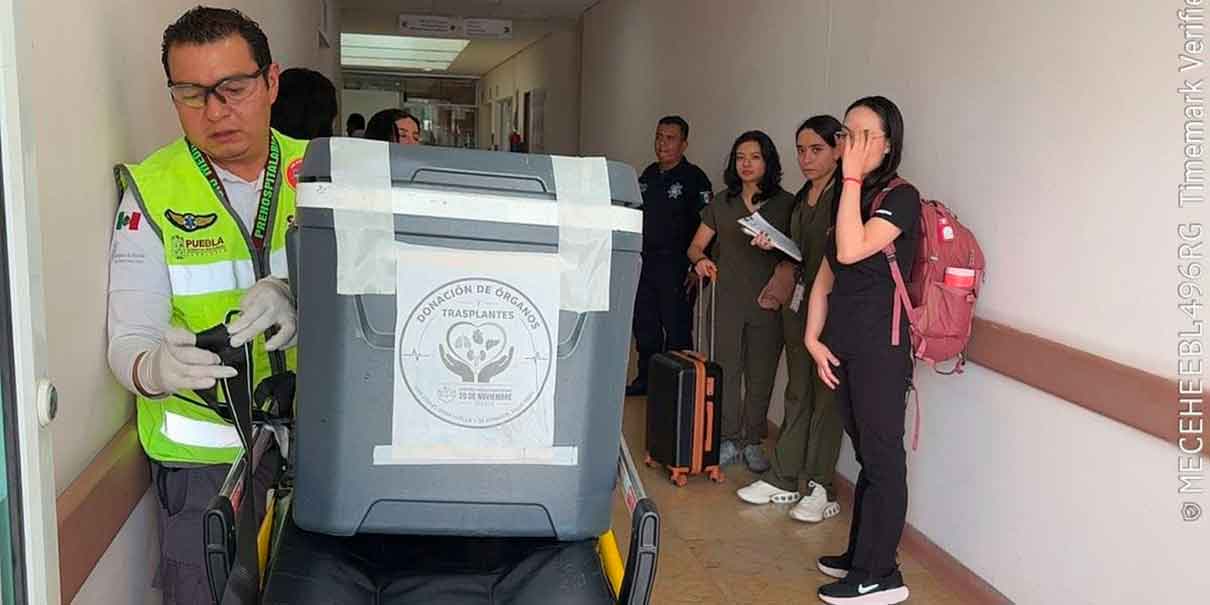 Donación de órganos