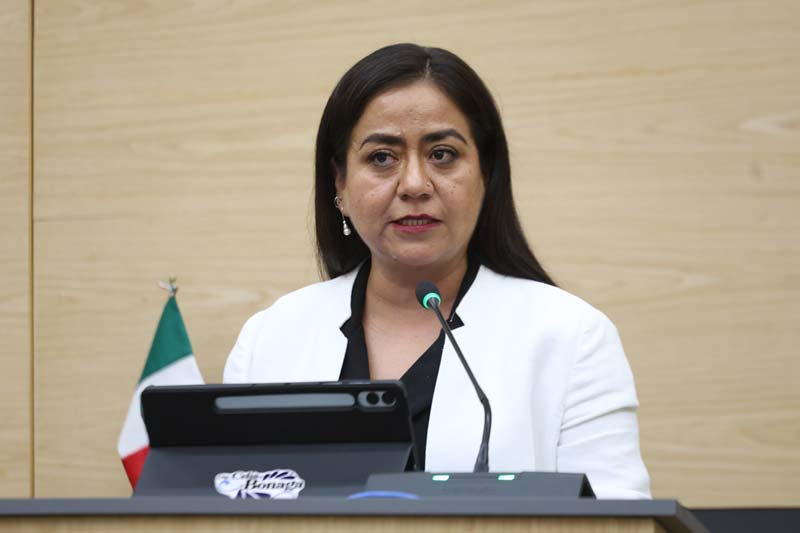 Celia Bonaga Ruiz afirmó que el PAN definirá su postura sobre la "Ley de Infancias Trans" sin presiones políticas o partidistas
