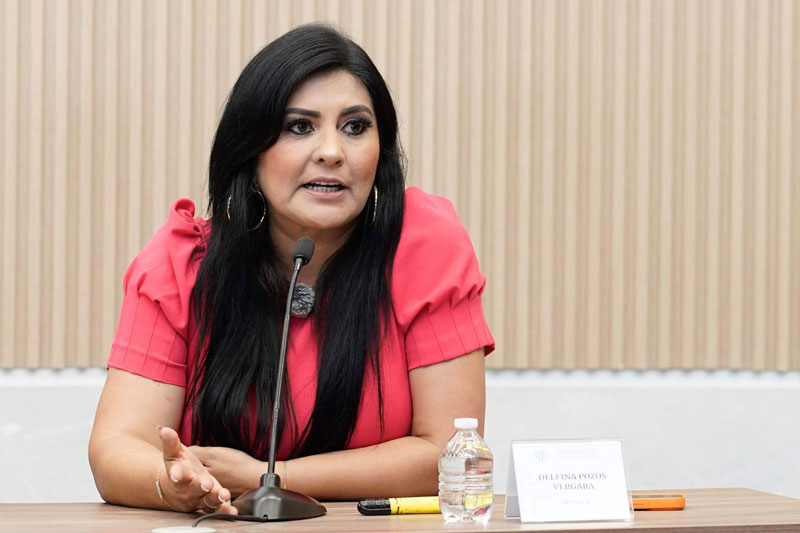 Delfina Pozos señaló que los habitantes debieron participar en las propuestas para los Concejos Municipales.