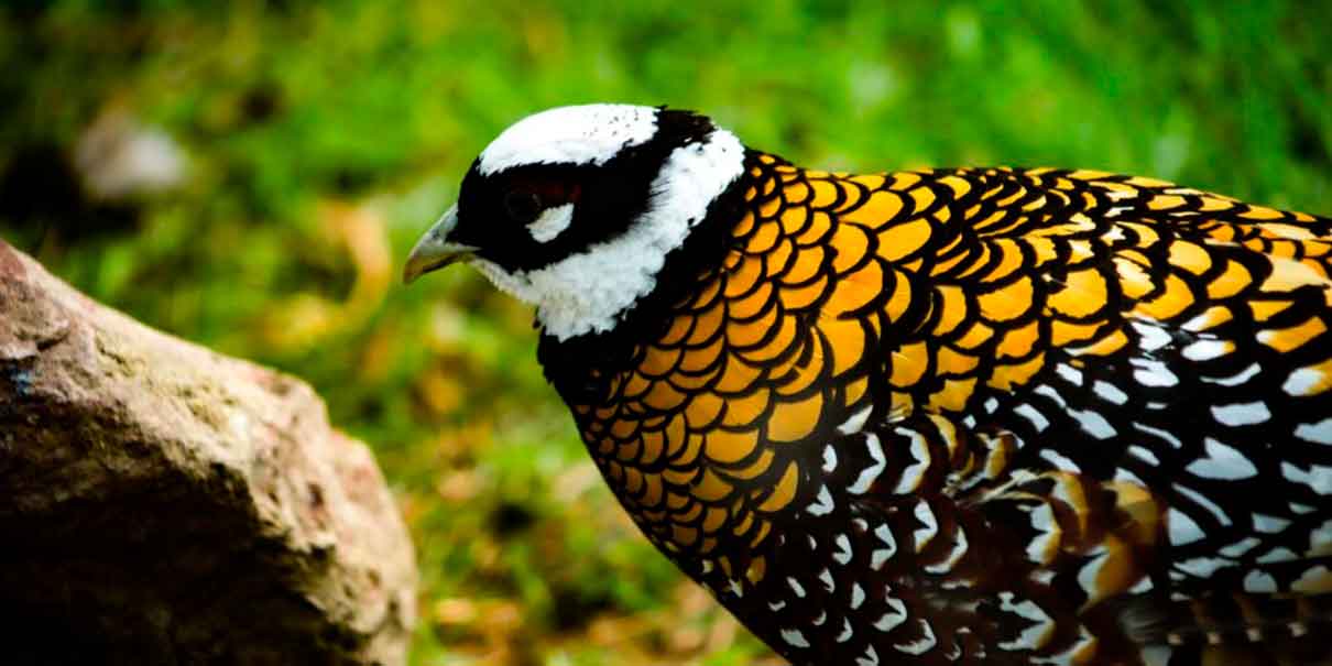 Parque Ecológico Zacango 