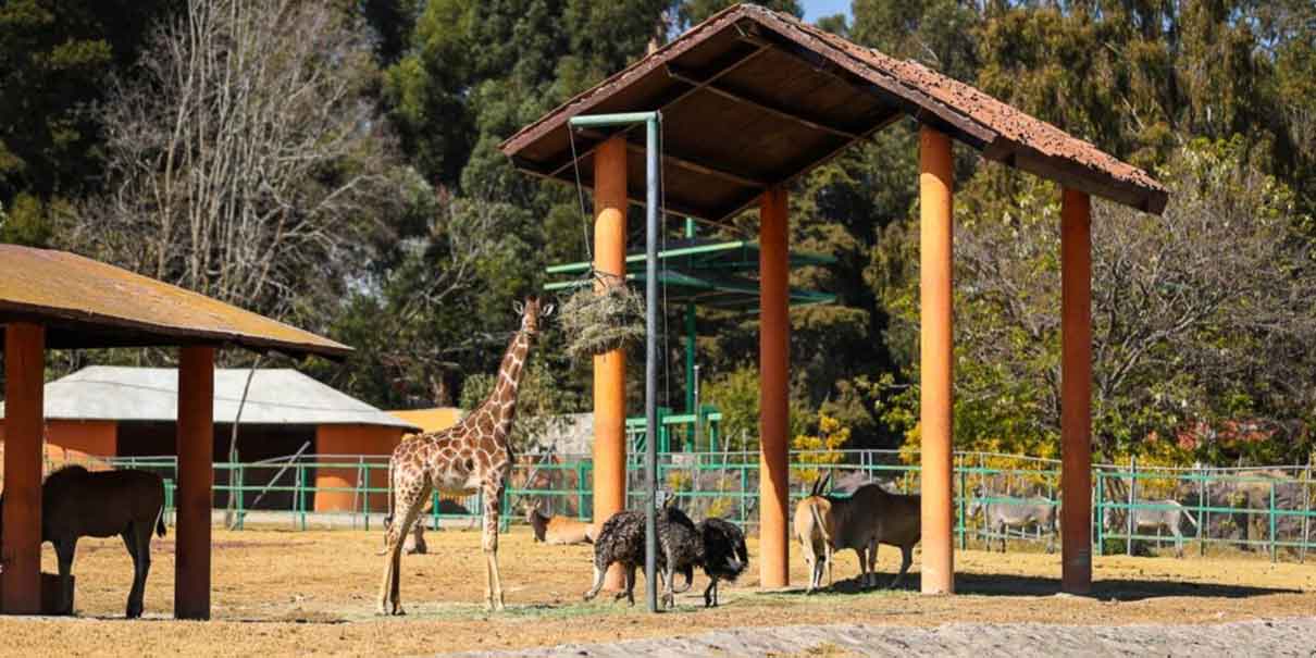 Parque Ecológico Zacango 