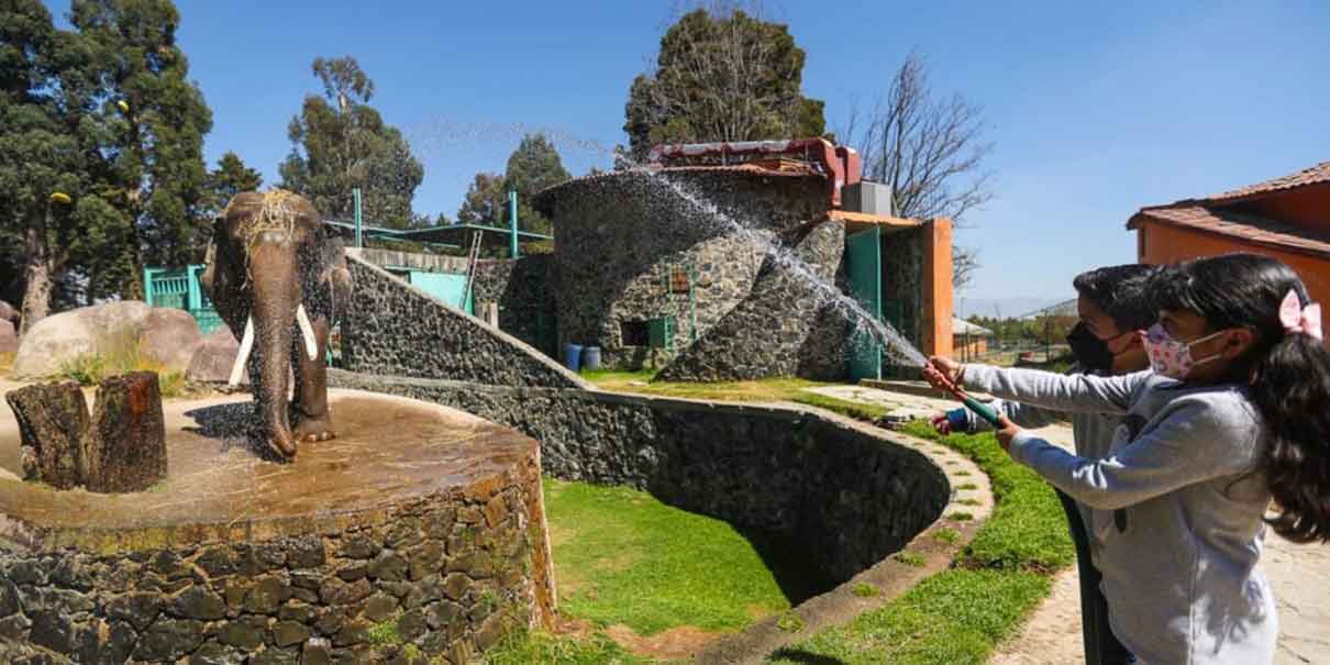 Parque Ecológico Zacango 