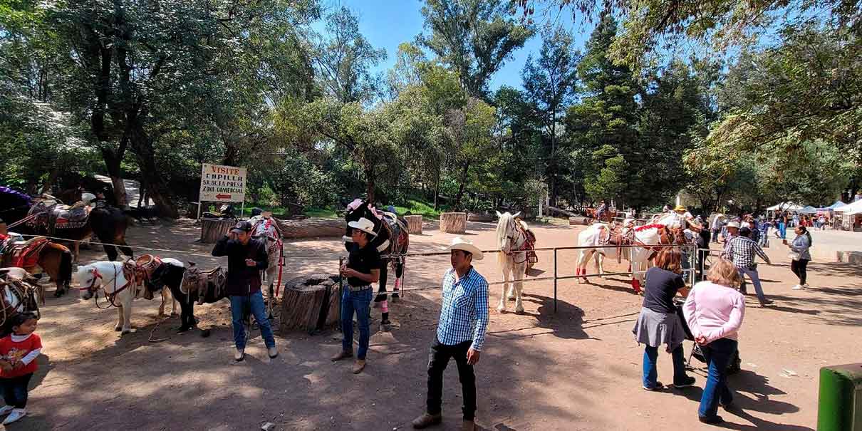 Parque Nacional Molino de Flores