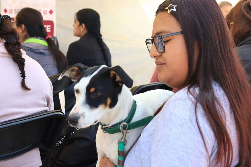Gobierno de Puebla lleva servicios de bienestar animal a colonias y juntas auxiliares
