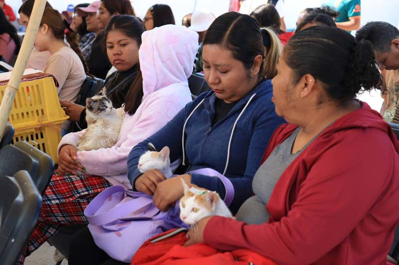 Gobierno de Puebla lleva servicios de bienestar animal a colonias y juntas auxiliares