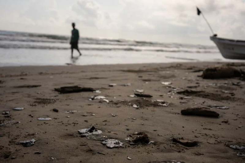 Pescadores señalan omisiones y contradicciones tras crisis ambiental en el Golfo de México