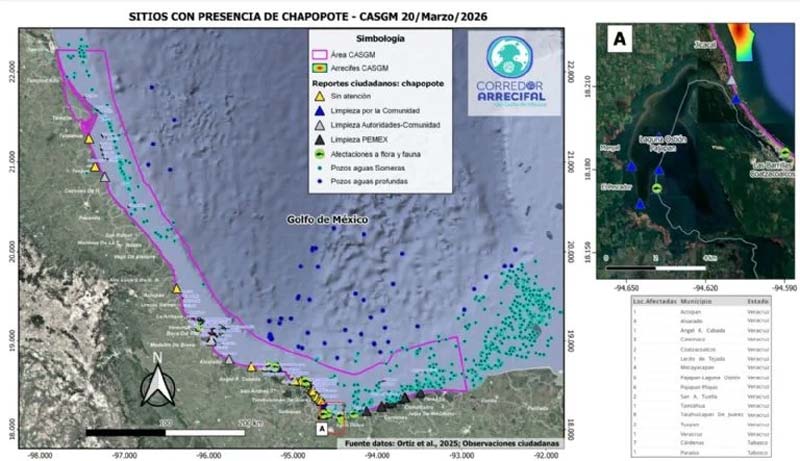 Pescadores señalan omisiones y contradicciones tras crisis ambiental en el Golfo de México