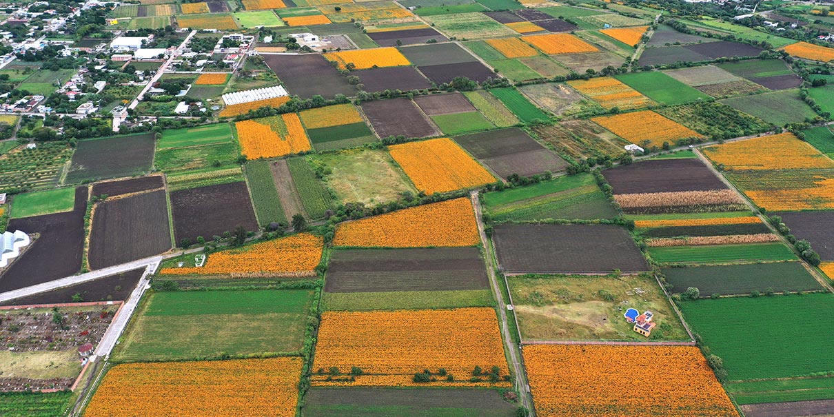 Campo de Atlixco