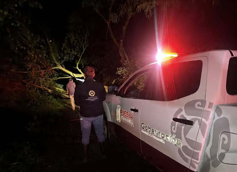 Lluvias en Puebla dejan árboles caídos; atienden afectaciones en Acatlán y Ajalpan