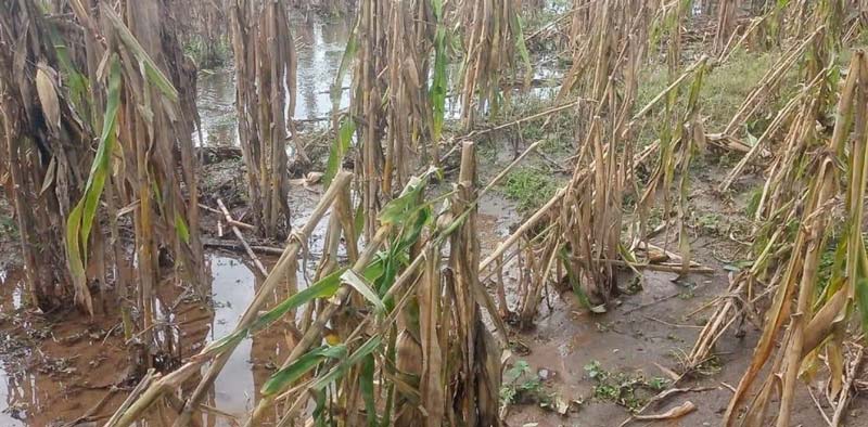 Puebla, Atlixco y Tecamachalco con daños por lluvias