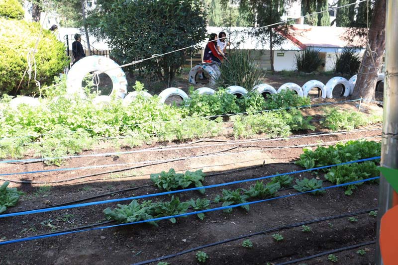 Pepe Chedraui impulsa capacitación ambiental en escuelas con huertos escolares en Puebla