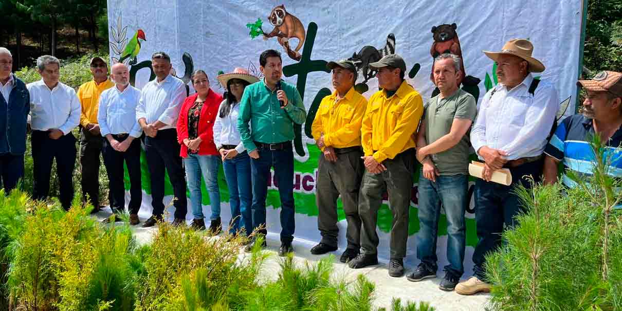 Reforestan Teopancingo