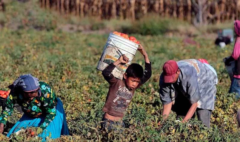 ¿Sabes por qué se celebra el Día del Niño? Esta es su historia en México