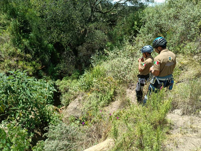 Operativo de rescate permitió salvar a cinco perros en el paraje Tres Cruces, Serdán