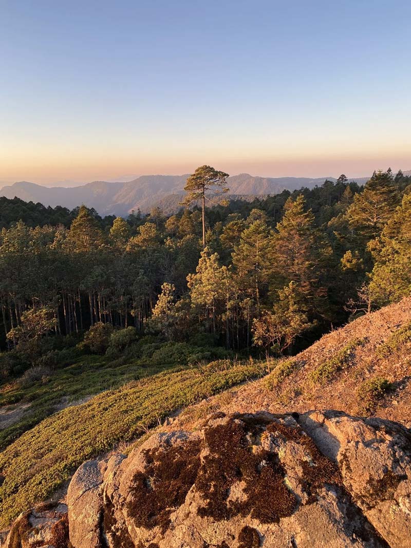 Santa María Yavesía, el tesoro natural de la Sierra Norte de Oaxaca