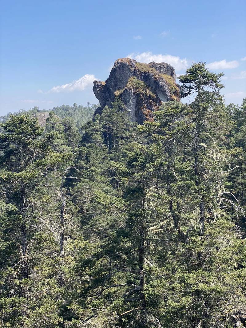 Santa María Yavesía, el tesoro natural de la Sierra Norte de Oaxaca