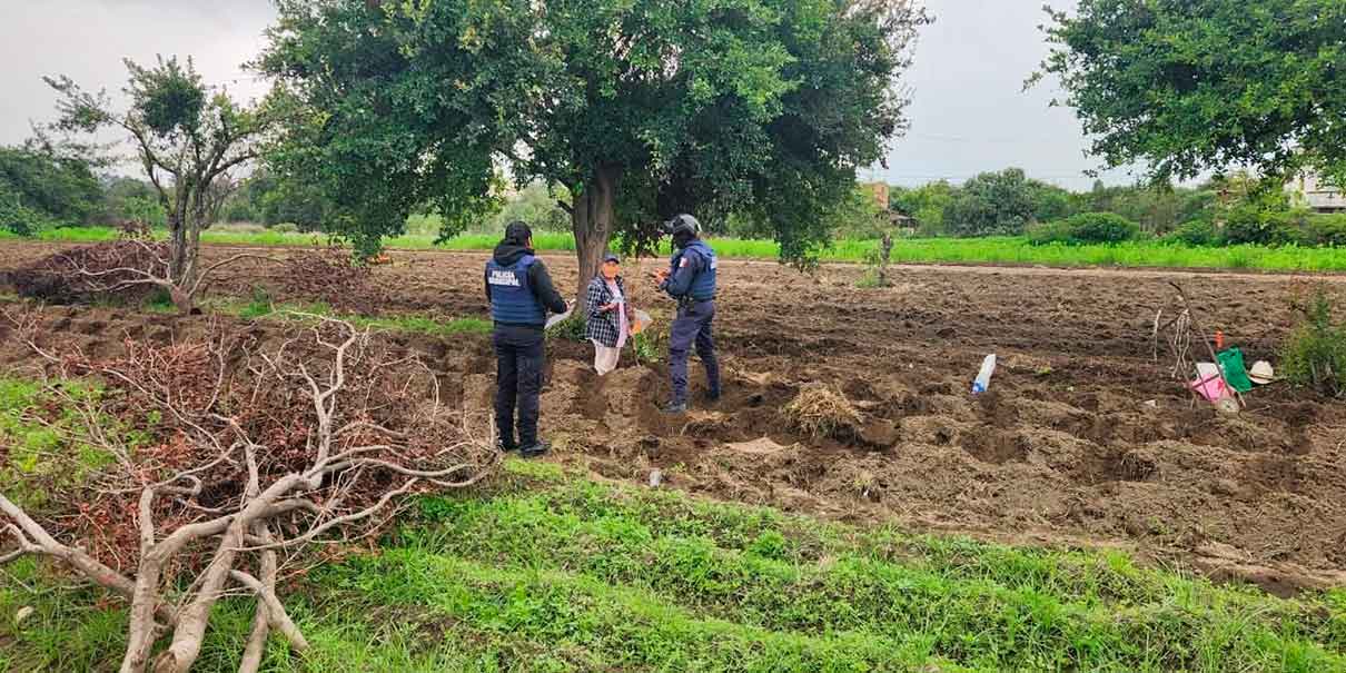 Operativo Campesino Seguro