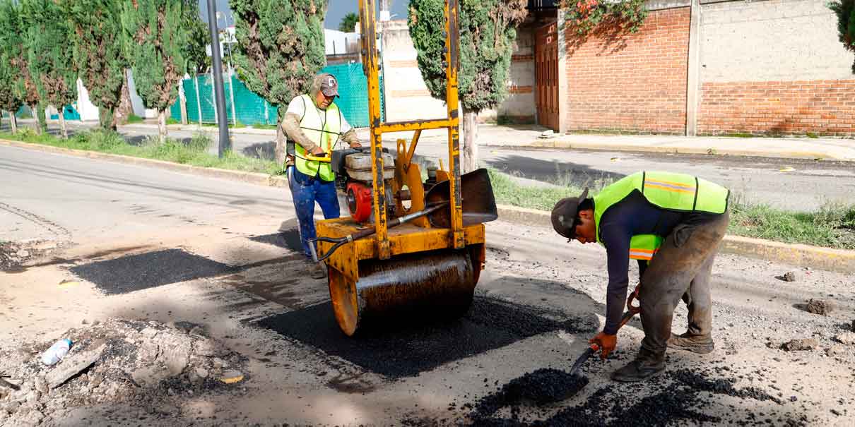 Baches
