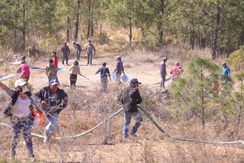 Tras casi 24 horas, logran controlar incendio en Vicente Guerrero