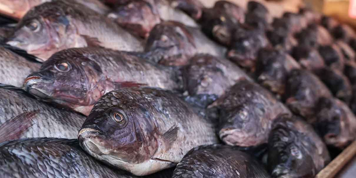 Venta de mariscos