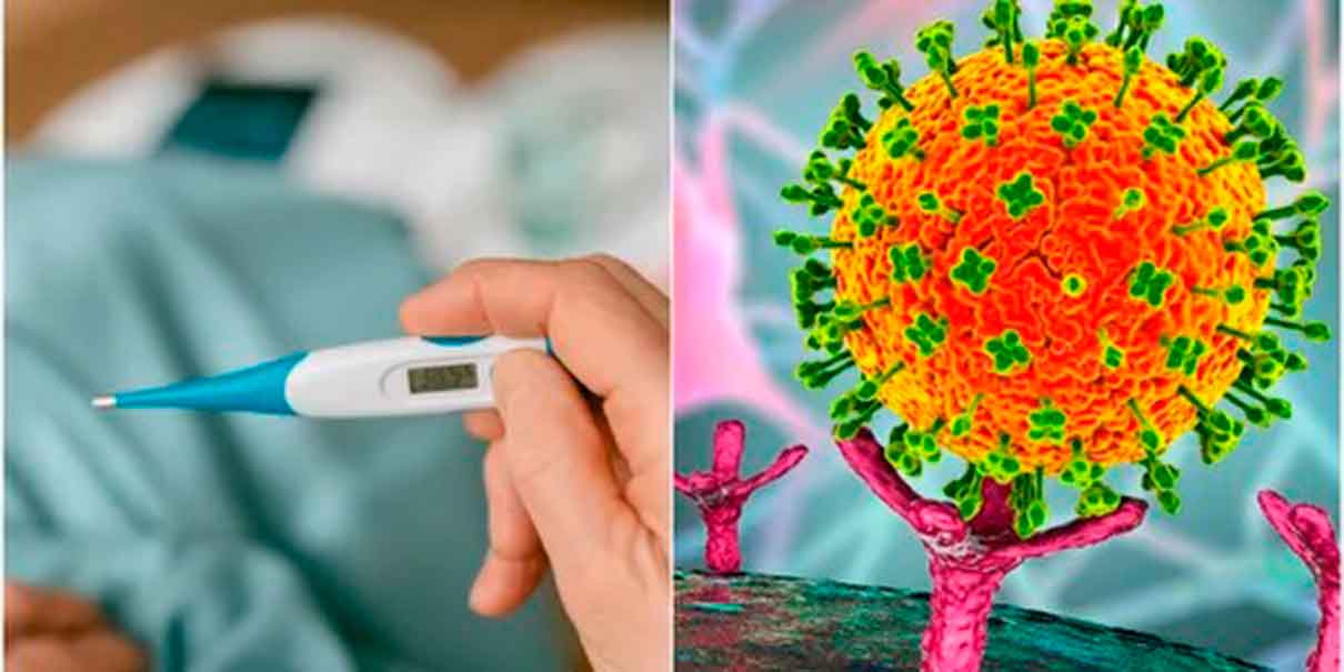 Virus Nipah