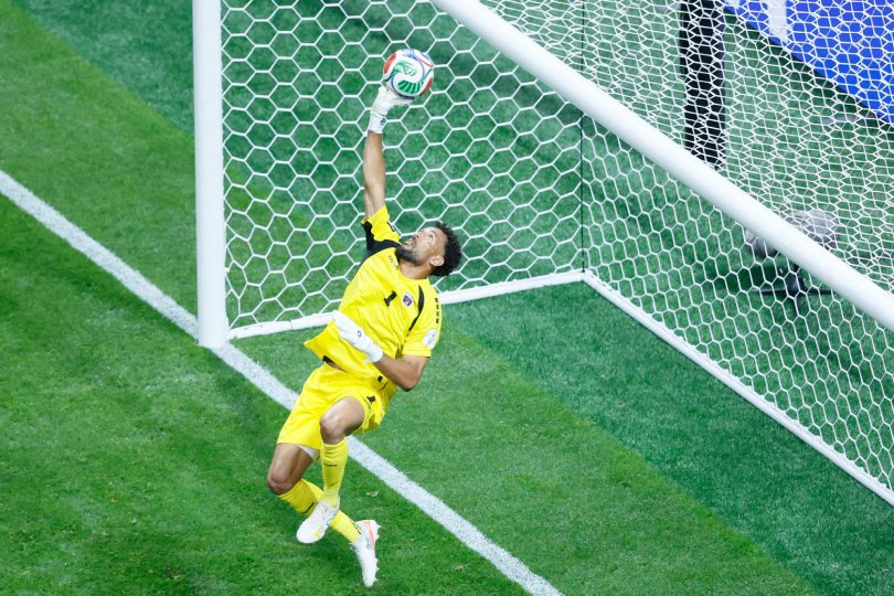 vozinha