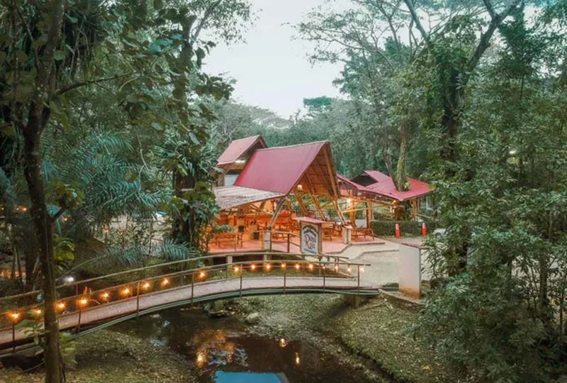 Zona Arqueológica de Palenque, Chiapas: la ciudad maya entre la selva que sigue revelando secretos