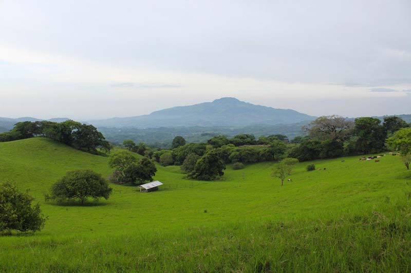 Zona Arqueológica de Toniná, Chiapas: descubre la historia de una poderosa ciudad del mundo maya
