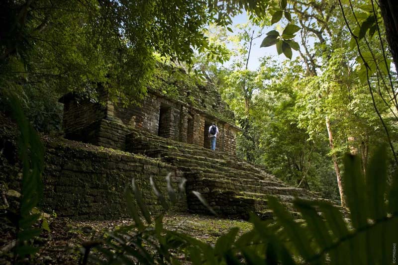 Zona Arqueológica de Yaxchilán, Chiapas: la ciudad maya oculta en la selva lacandona