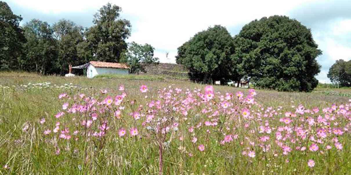 Zona Arqueológica de Huamango.