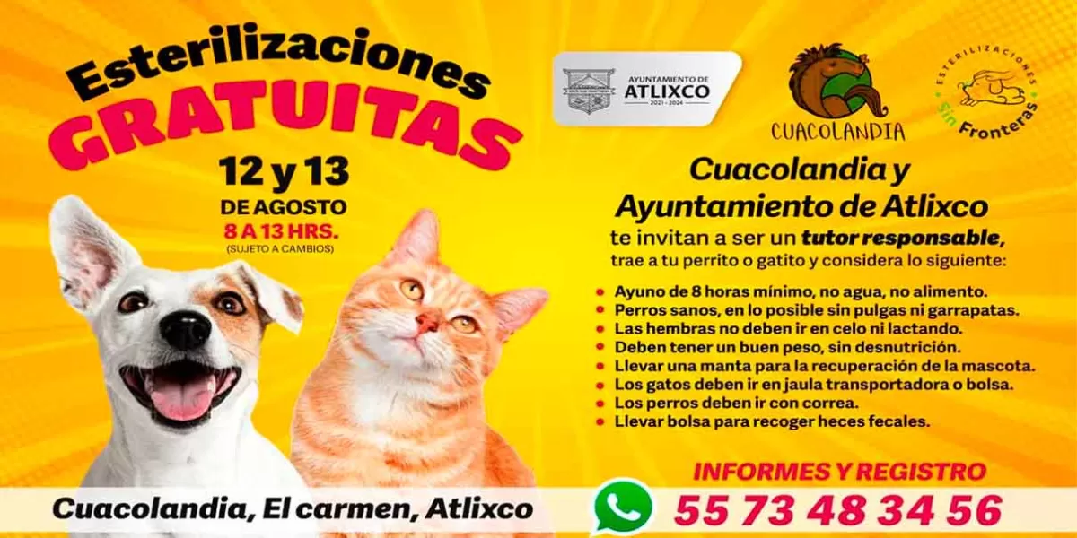 Campaña masiva de esterilización gratuita para perros y gatos en Atlixco