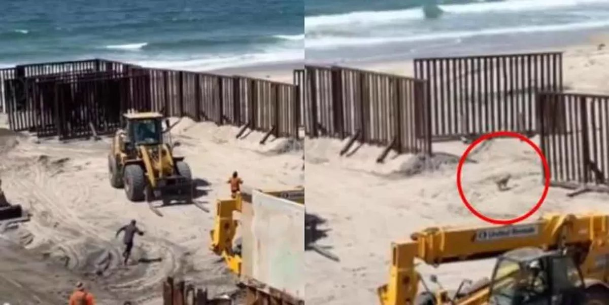 VIDEO. Lomito aprovecha descuido durante los trabajos en el muro fronterizo y cruza a EU junto con otras personas