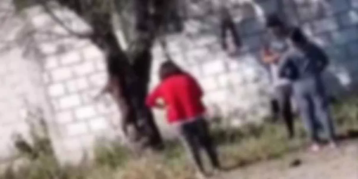 Hombre colgó a su perro por lesionar a un niño en Tepanco de López