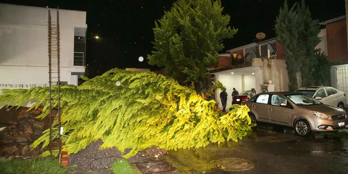 Lluvia en Puebla causa inundaciones y caída de árboles