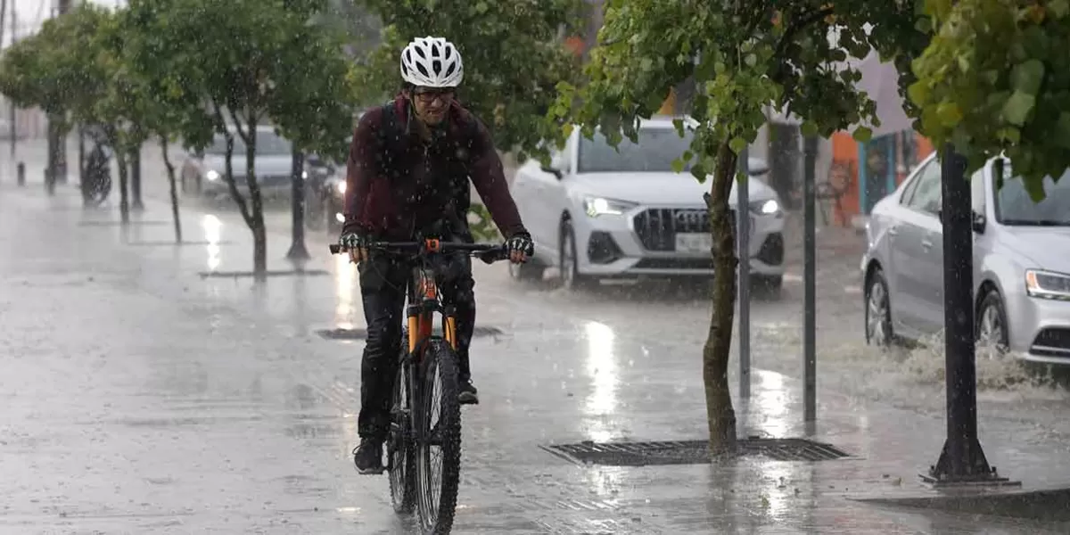 Lluvia en Puebla genera caída de árboles y cortes de luz