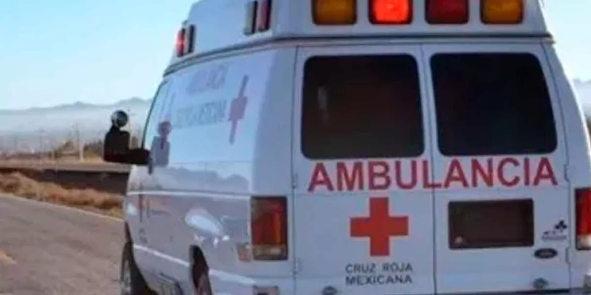 Accidente entre autobús y plataforma deja 10 lesionados en la Cuacnopalan-Oaxaca