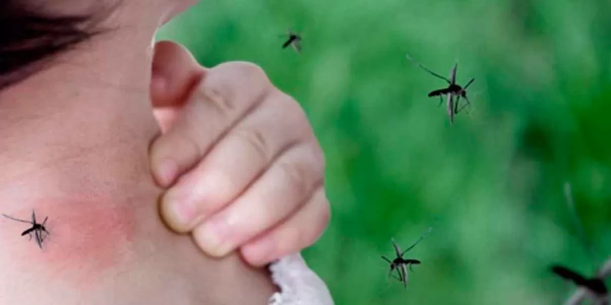Puebla cerró la semana con 2 mil 318 casos de Dengue