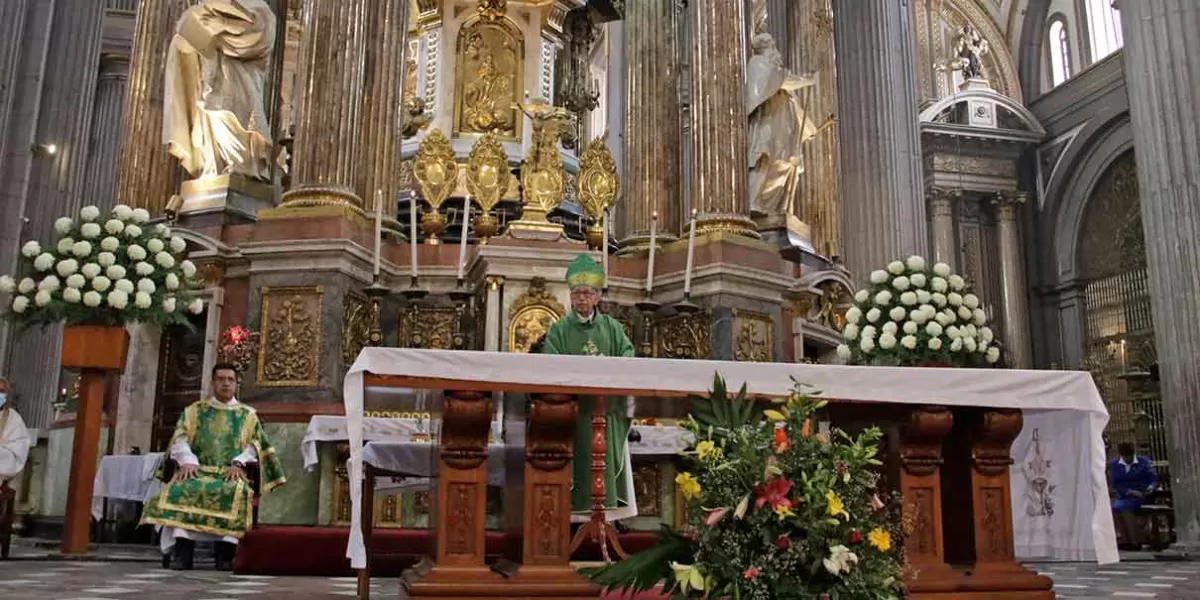 Obispo auxiliar de Puebla convoca a la fraternidad y a disipar la violencia en la sociedad 
