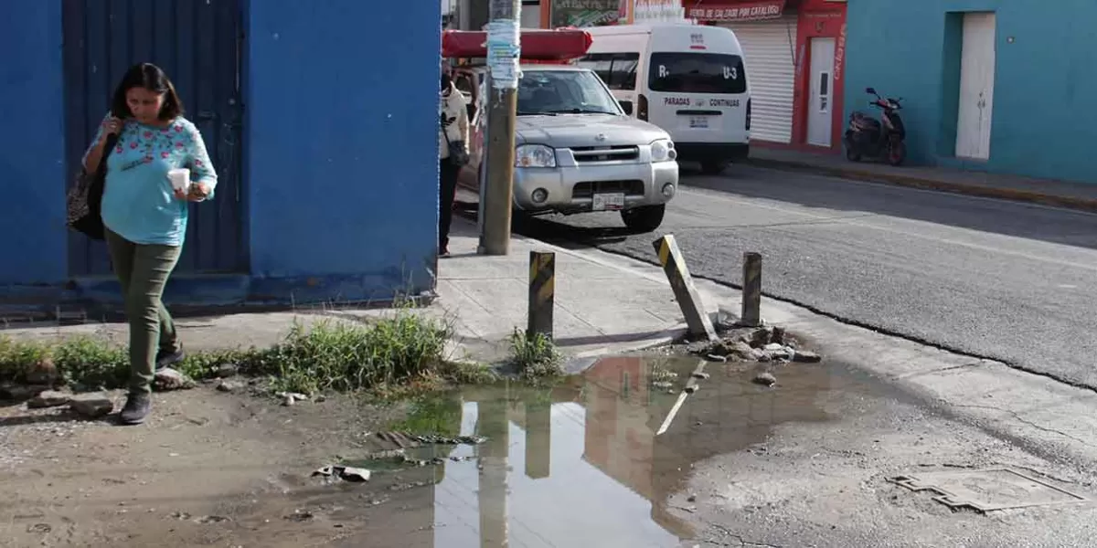 En Puebla, siguen subiendo casos de dengue