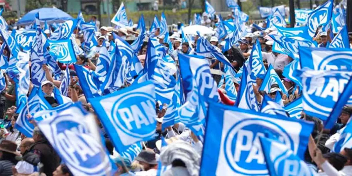 Reparto de candidaturas no provocará rupturas entre partidos del Frente: PAN