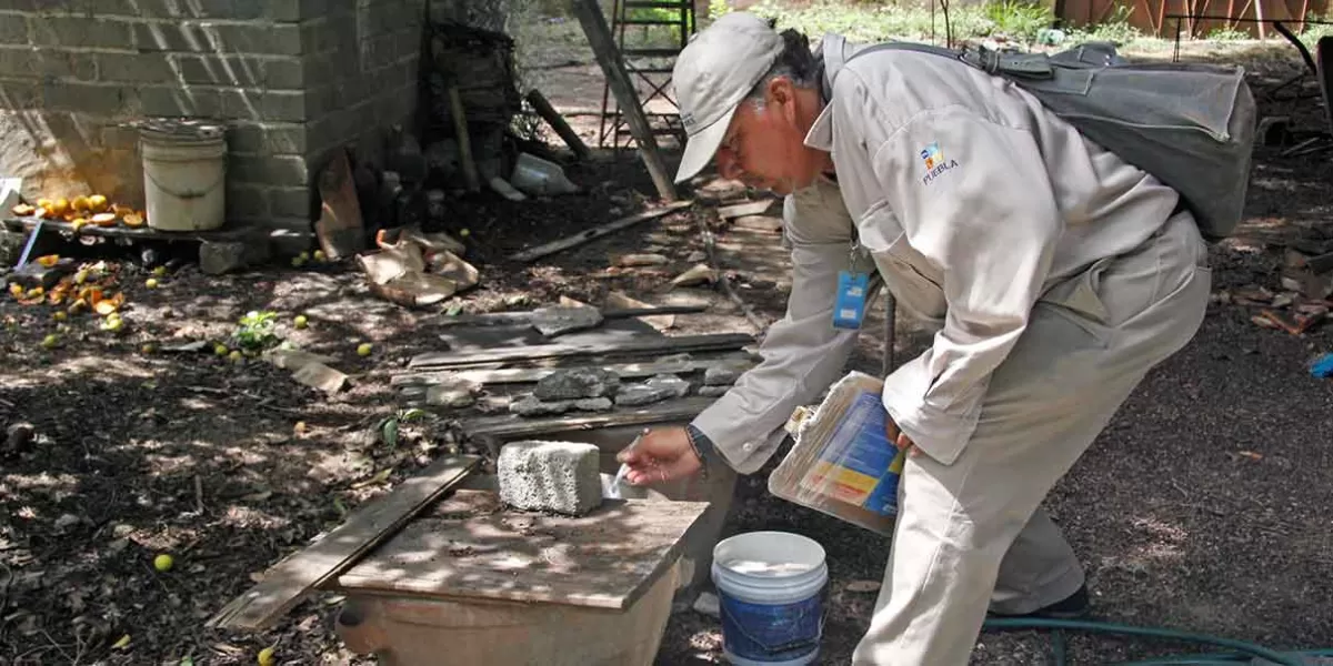 Puebla lleva 2 mil 962 casos de dengue acumulados