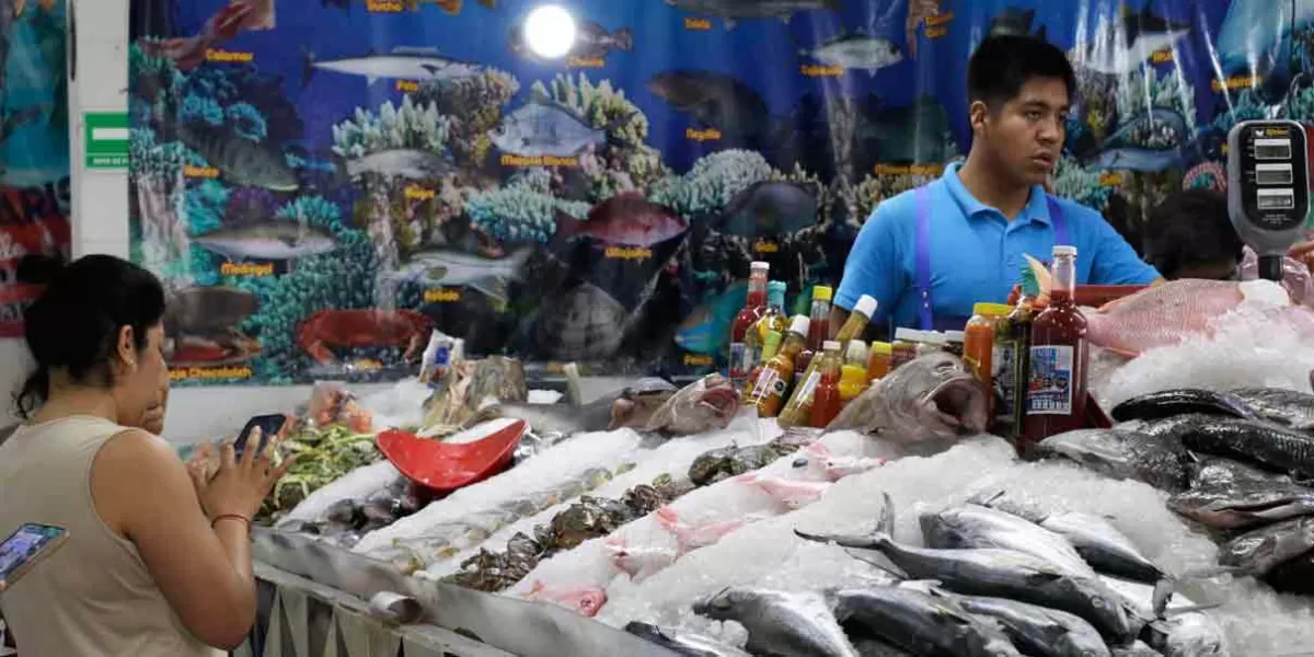 Comerciantes de pescado tienen prohibido tirar residuos a las calles, quien incumpla será clausurado